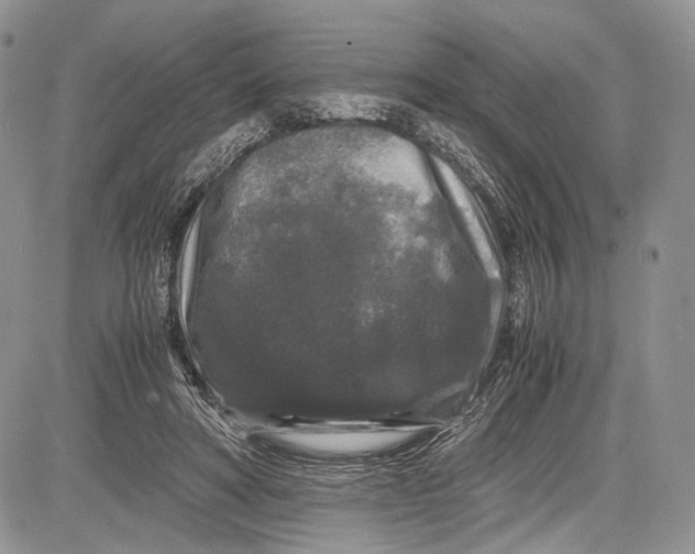 X0000081610402200702051359