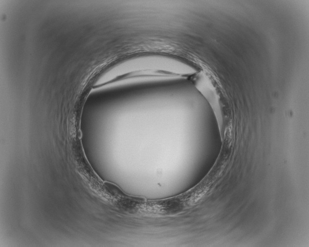 X0000081610403200702051359