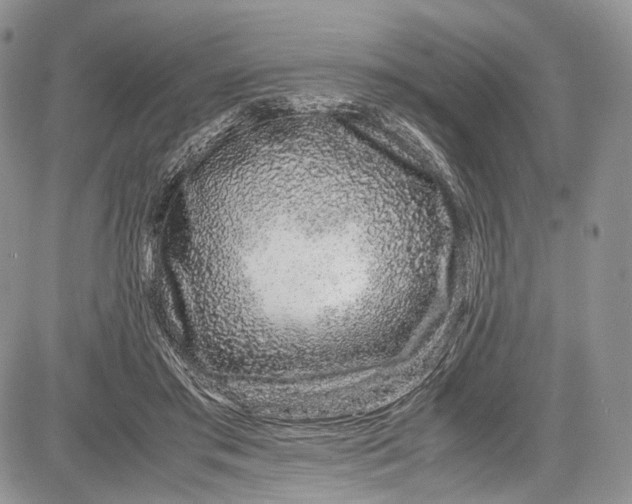 X0000081610405200702051359