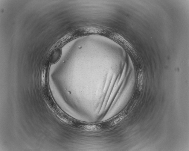 X0000081610406200702051359