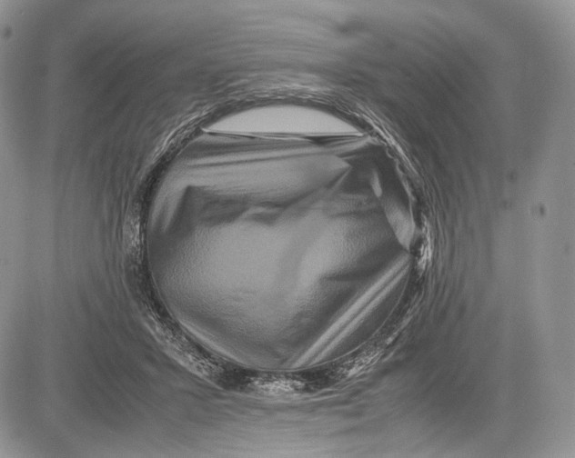 X0000081610407200702051359