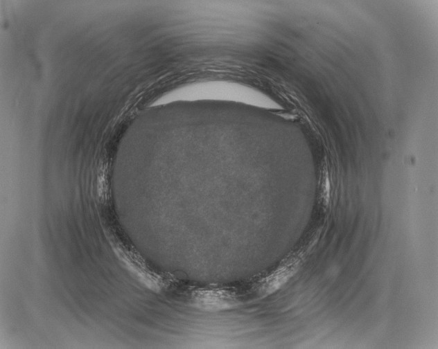 X0000081610408200702051359