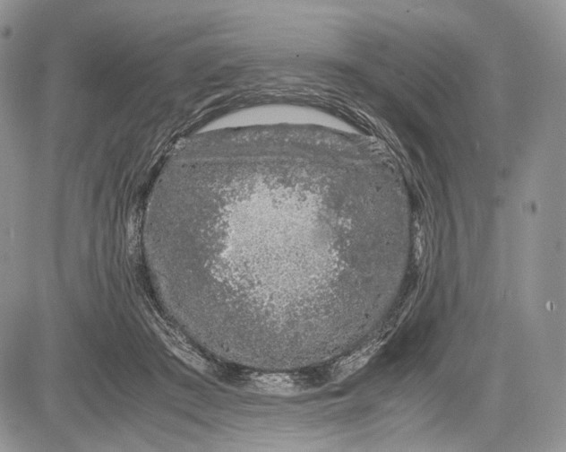 X0000081610409200702051359