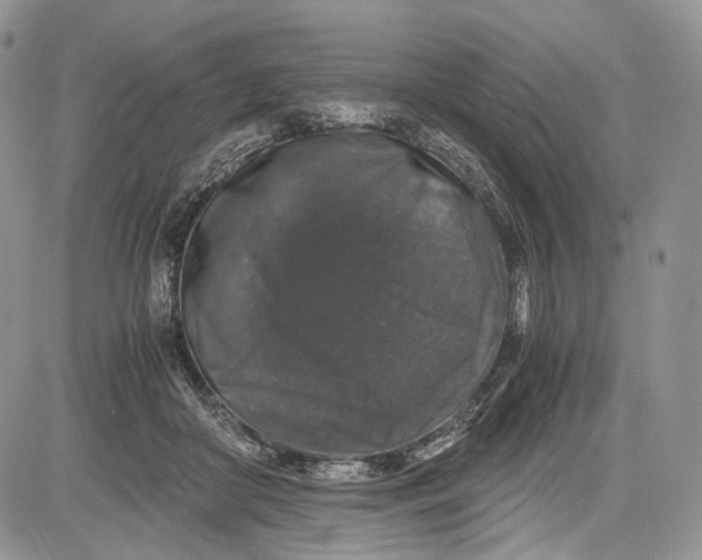 X0000081610410200702051359