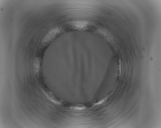 X0000081610412200702051359