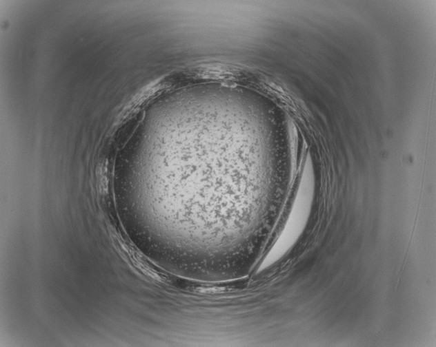 X0000081610413200702051359