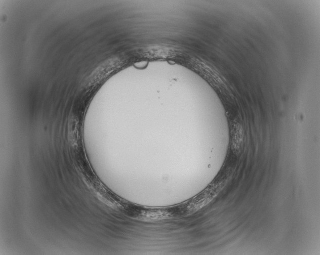 X0000081610414200702051359