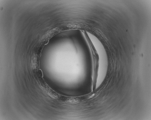 X0000081610416200702051359