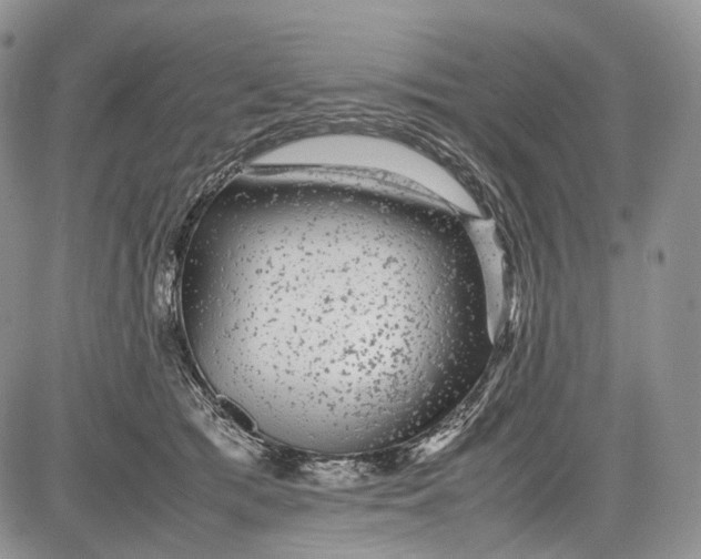 X0000081610417200702051359