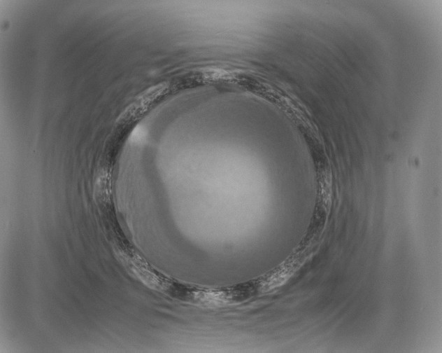 X0000081610419200702051359