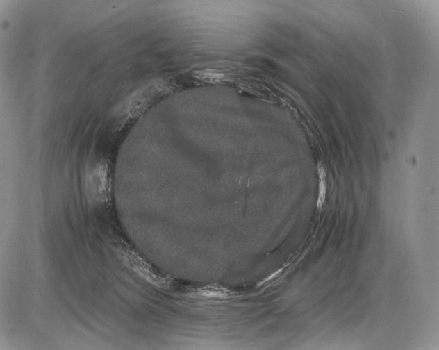 X0000081610420200702051359