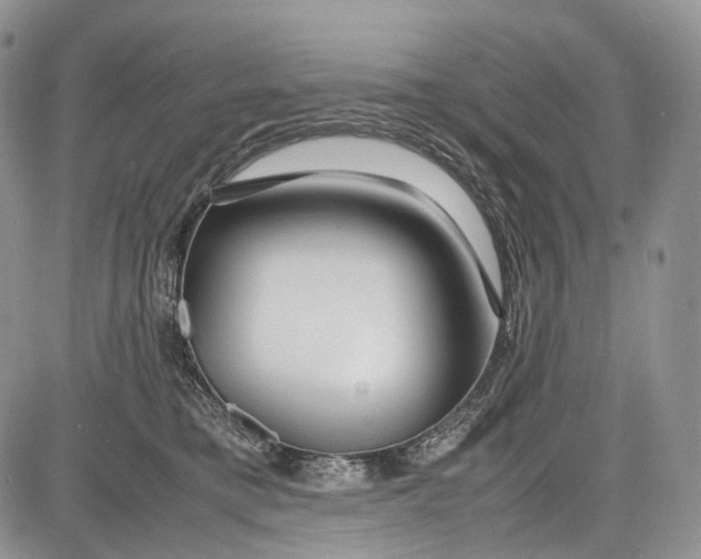 X0000081610421200702051359