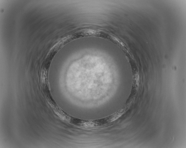 X0000081610423200702051359