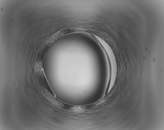 X0000081610425200702051359