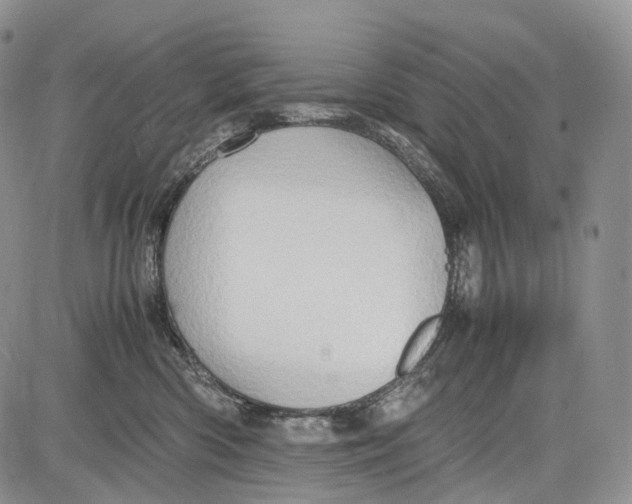 X0000081610426200702051359