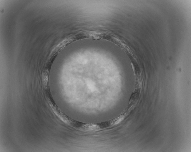 X0000081610427200702051359