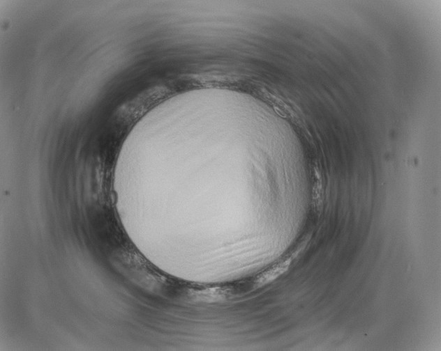 X0000081610430200702051359