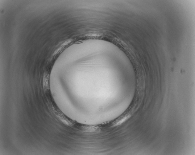 X0000081610432200702051359