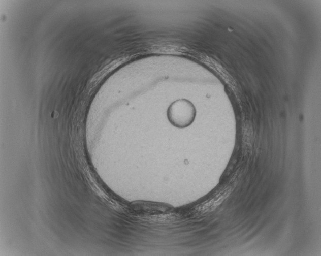 X0000081610433200702051358