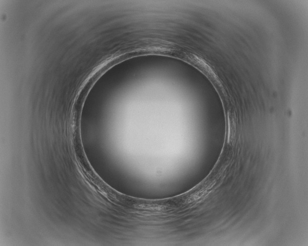 X0000081610435200702051358