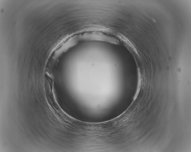 X0000081610436200702051358