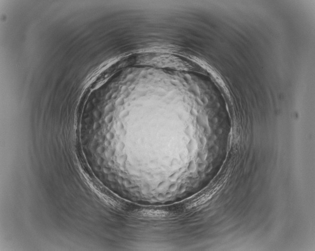 X0000081610437200702051358