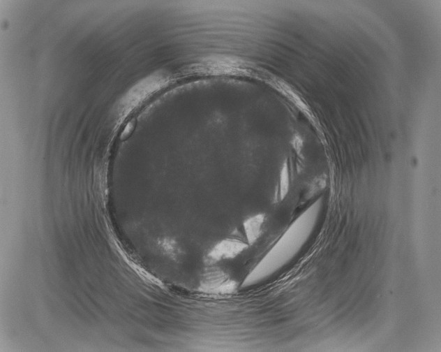 X0000081610438200702051358