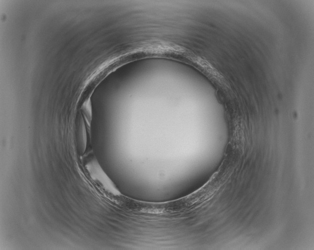 X0000081610440200702051358