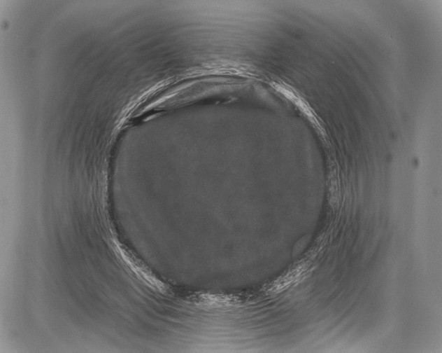 X0000081610442200702051358