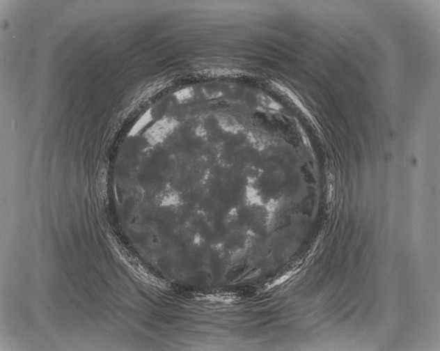 X0000081610447200702051358