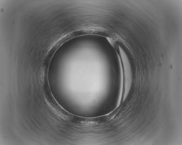 X0000081610448200702051358