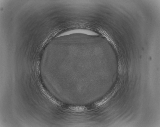 X0000081610449200702051358