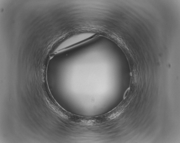 X0000081610450200702051358