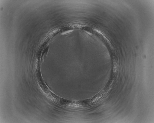 X0000081610451200702051358