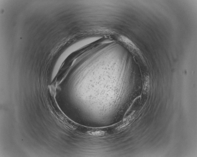 X0000081610452200702051358