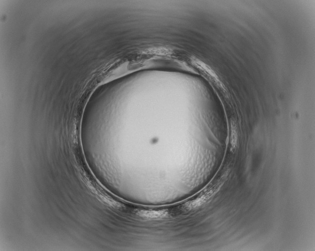 X0000081610453200702051358