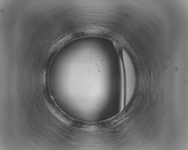 X0000081610454200702051358