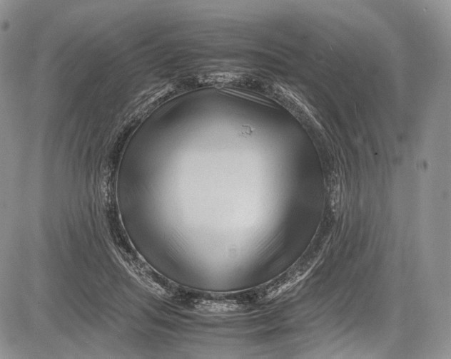 X0000081610455200702051358