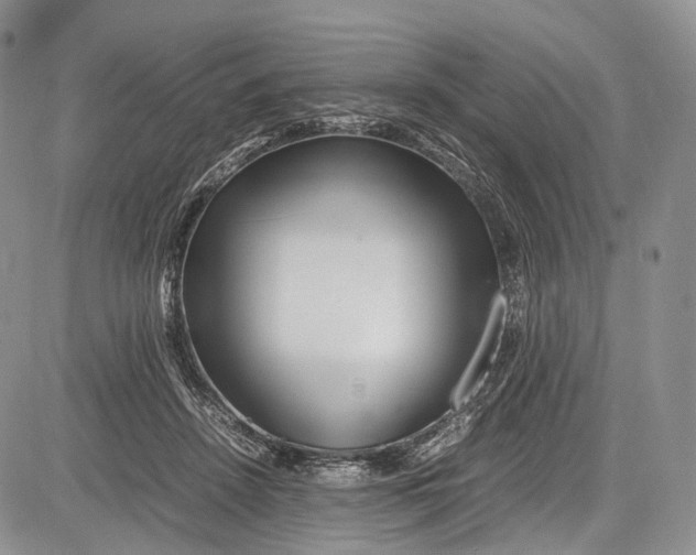 X0000081610456200702051358