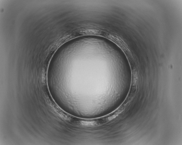 X0000081610457200702051358