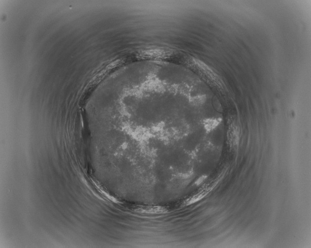 X0000081610459200702051358