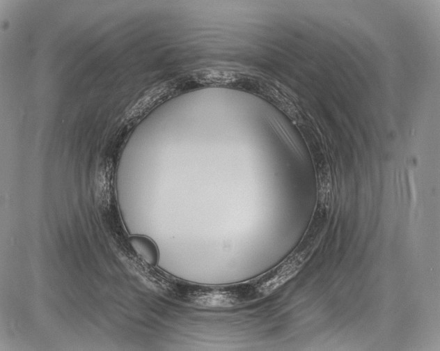 X0000081610460200702051358