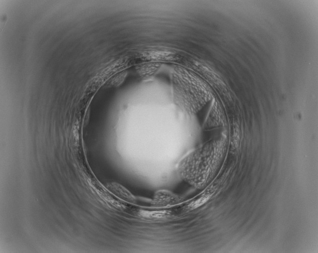 X0000081610461200702051358