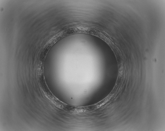 X0000081610464200702051358