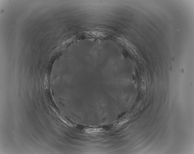 X0000081610465200702051358