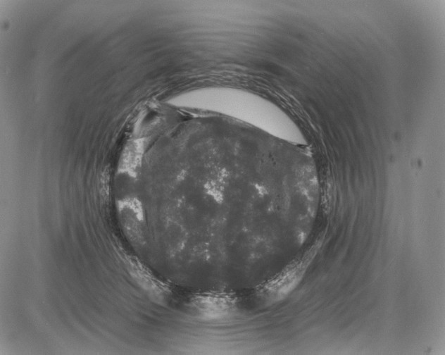 X0000081610466200702051358