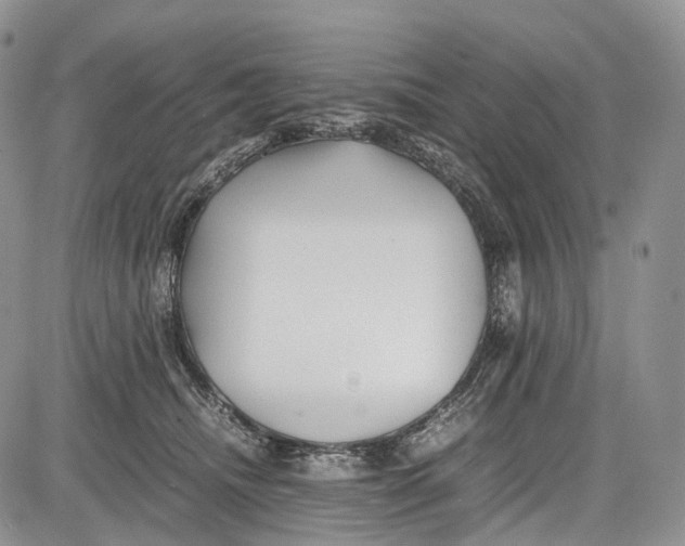 X0000081610468200702051359