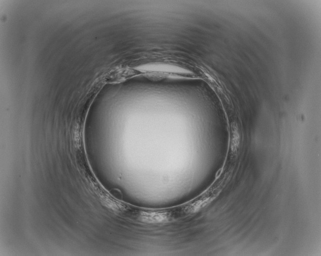 X0000081610469200702051359