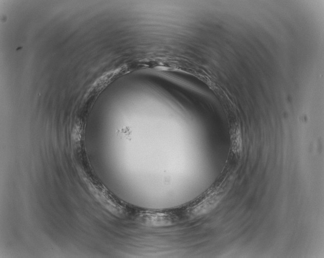 X0000081610472200702051359