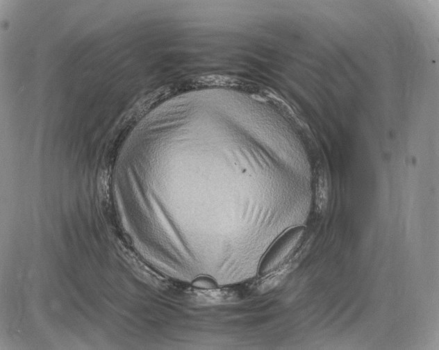 X0000081610473200702051359